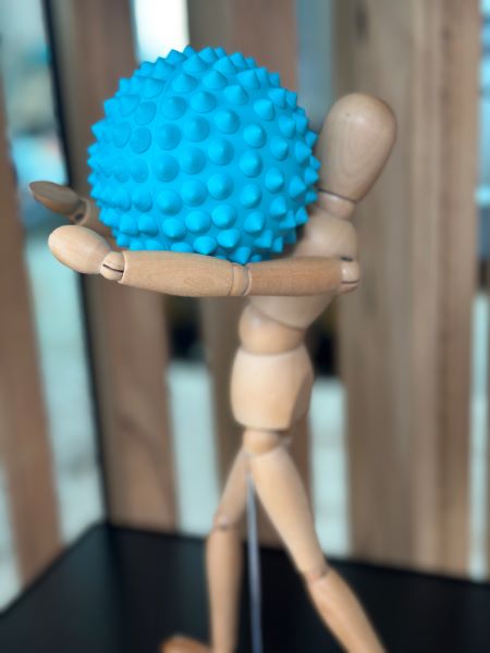 Spikey balls are commonly used for self-myofascial release, which is a technique that aims to release tension and improve the flexibility of the fascia, the connective tissue surrounding it. muscles. Gym Balls are great for core strengthening, balance training, pregnancy and postpartum exercise.